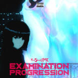 Examination Progression Examination Progression